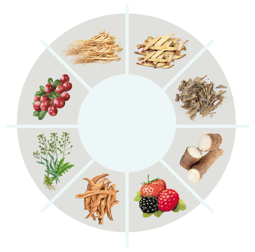Her Bodhi ingredient overview